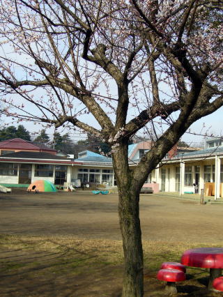 茨城県猿島郡境町にある保育のお仕事求人