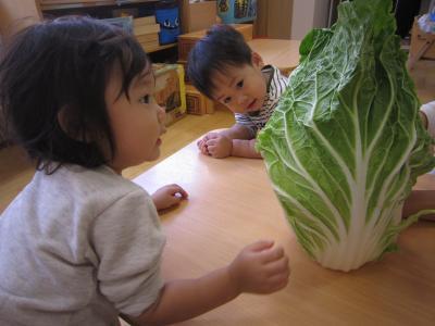 食育活動のひとつ