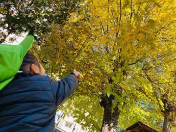 素敵な先生達、可愛い子ども達と一緒に楽しくお仕事しませんか？ひだまり保育園大宮【保育補助/子育て支援員】