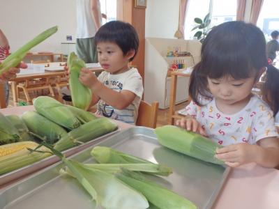 日常的に食材に触れ季節感を育みます