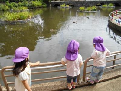 お散歩は近隣公園など