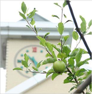 学校法人　阪急学園　阪急幼稚園