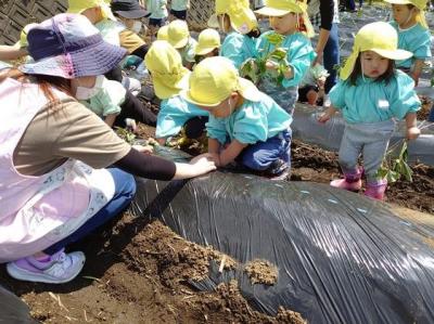 神山認定こども園　≪保育士／正社員≫