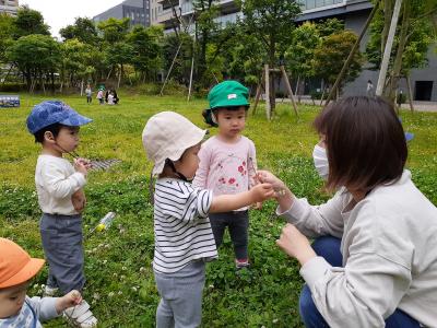 近所にたくさんの公園があります