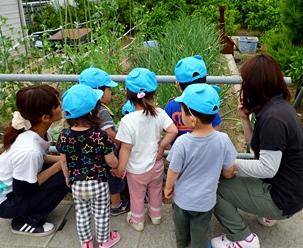 四季折々の花や木が楽しめる園庭