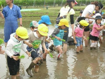 「直接体験」をモットーに～田植え体験～