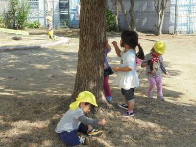 お天気の良い日のお散歩は楽しいね☆