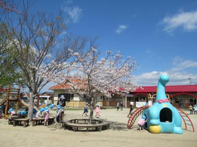 広い園庭でのびのびと遊べます