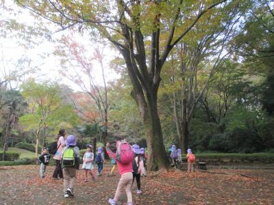 芹が谷公園へ散歩