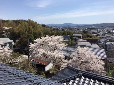 施設からの風景