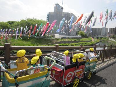 天気が良い日は毎日お散歩へ