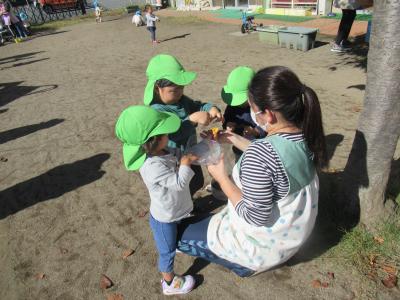 社会福祉法人　未来保育会　未来ほしの子保育園