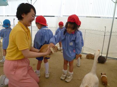 移動動物園