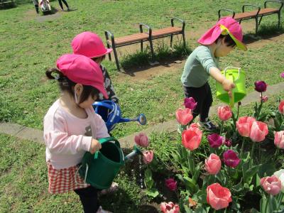 青山公園でお花に水やり