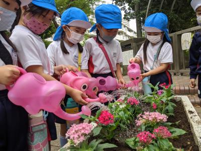 「直接体験」をモットーに～田植え体験～