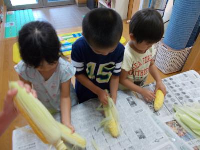 JR横浜線 橋本駅にある給食調理・栄養士のお仕事求人