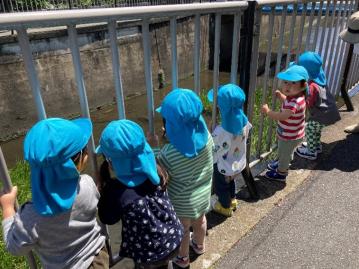 東京都杉並区にある保育のお仕事求人