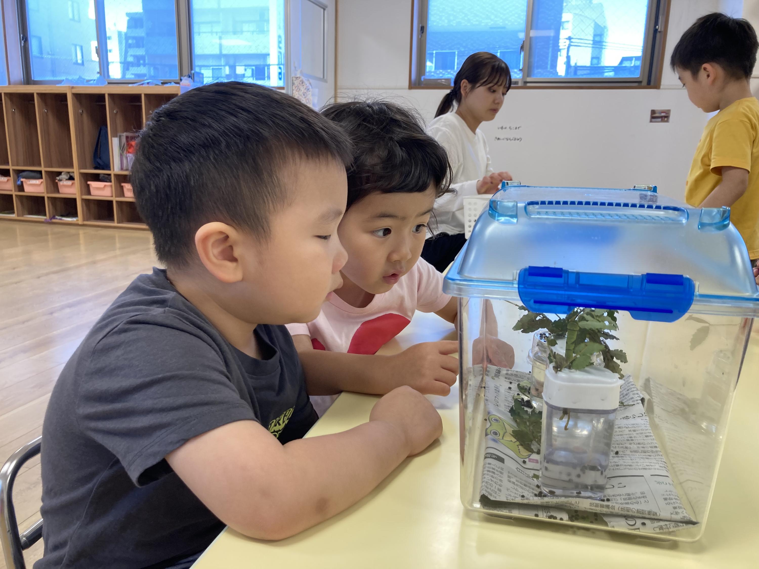 東京都新宿区上落合1-15-13にある、保育のお仕事求人