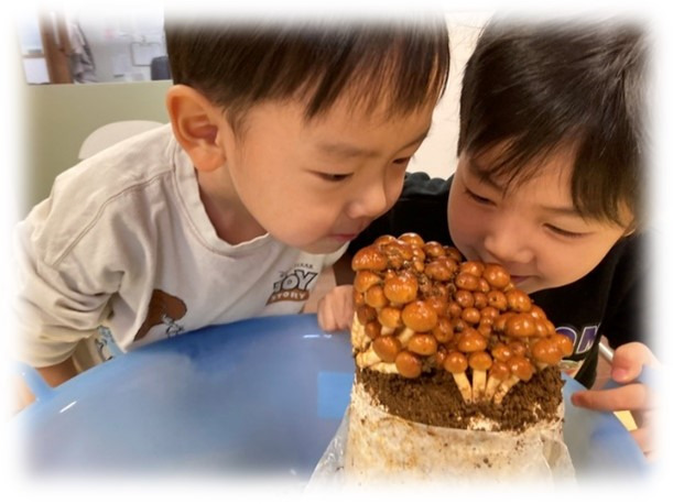 東京都新宿区にある保育のお仕事求人