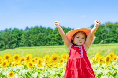 静岡県にある保育のお仕事求人