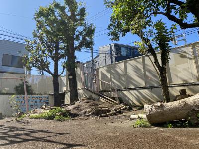 神奈川県川崎市宮前区馬絹4-18-27にある、保育のお仕事求人