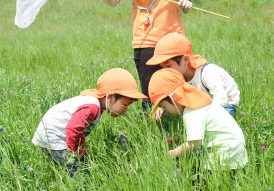 埼玉県川口市八幡木2-1-17にある、保育のお仕事求人