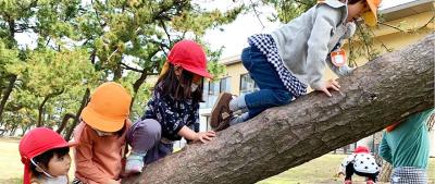 新潟県上越市西本町4-17-6にある、給食調理・栄養士のお仕事求人