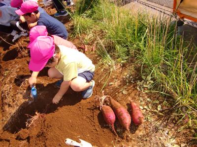 埼玉県蕨市にある給食調理・栄養士のお仕事求人
