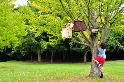 千葉県流山市おおたかの森南1-23-11にある、保育事務のお仕事求人