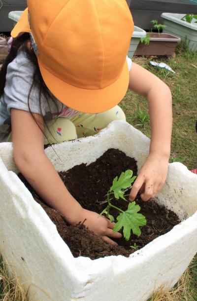 埼玉県川越市にある保育のお仕事求人