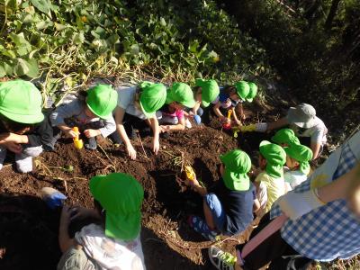 神奈川県川崎市幸区南加瀬3-4-20にある、(保育園)看護師・准看護師のお仕事求人