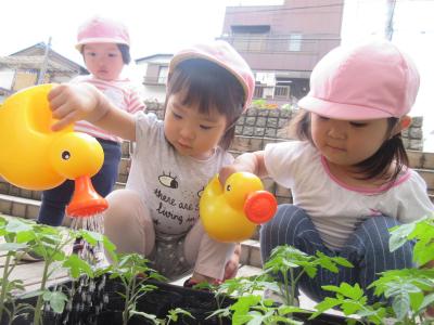 JR埼京線 戸田公園駅にある給食調理・栄養士のお仕事求人