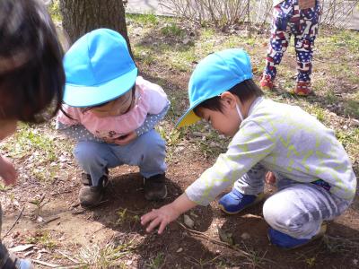 東京都あきる野市にある保育のお仕事求人