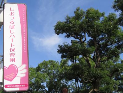 神奈川県横浜市鶴見区にある保育のお仕事求人