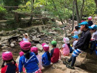 大阪府大阪市北区松ケ枝町5-20　オクムラビル1Fにある、（保育園）その他求人