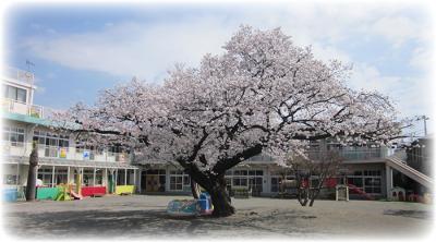 神奈川県川崎市宮前区にある幼稚園教諭のお仕事求人