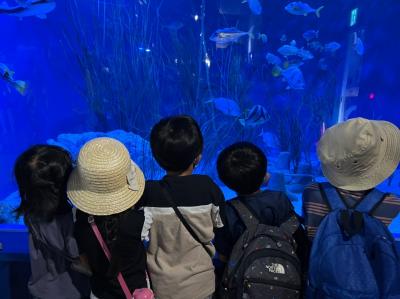 愛知県額田郡幸田町にある発達支援・児童指導員のお仕事求人