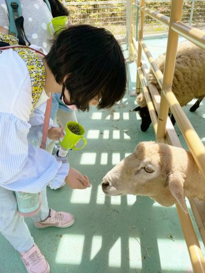 愛知県額田郡幸田町大字相見字沖原62にある、発達支援・児童指導員のお仕事求人