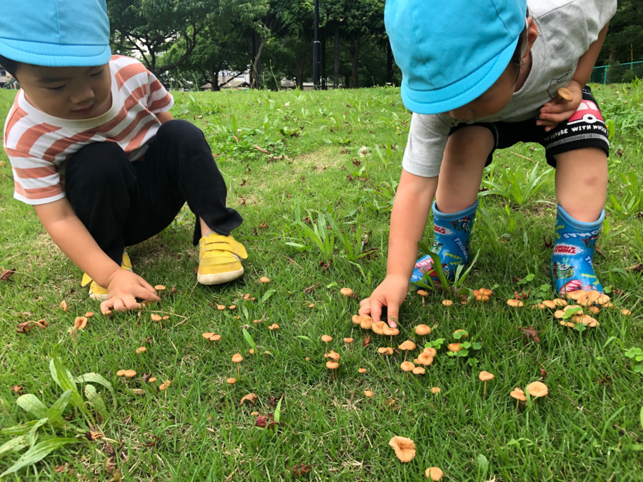 千葉県我孫子市にある保育のお仕事求人