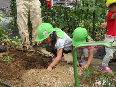 埼玉県越谷市花田四丁目１５番地２６にある、保育のお仕事求人